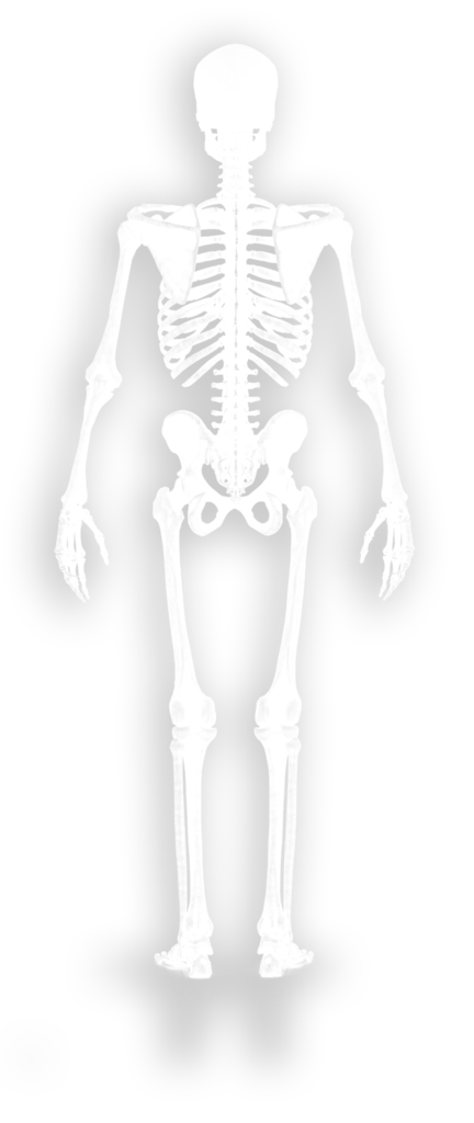 Skeleton for Form